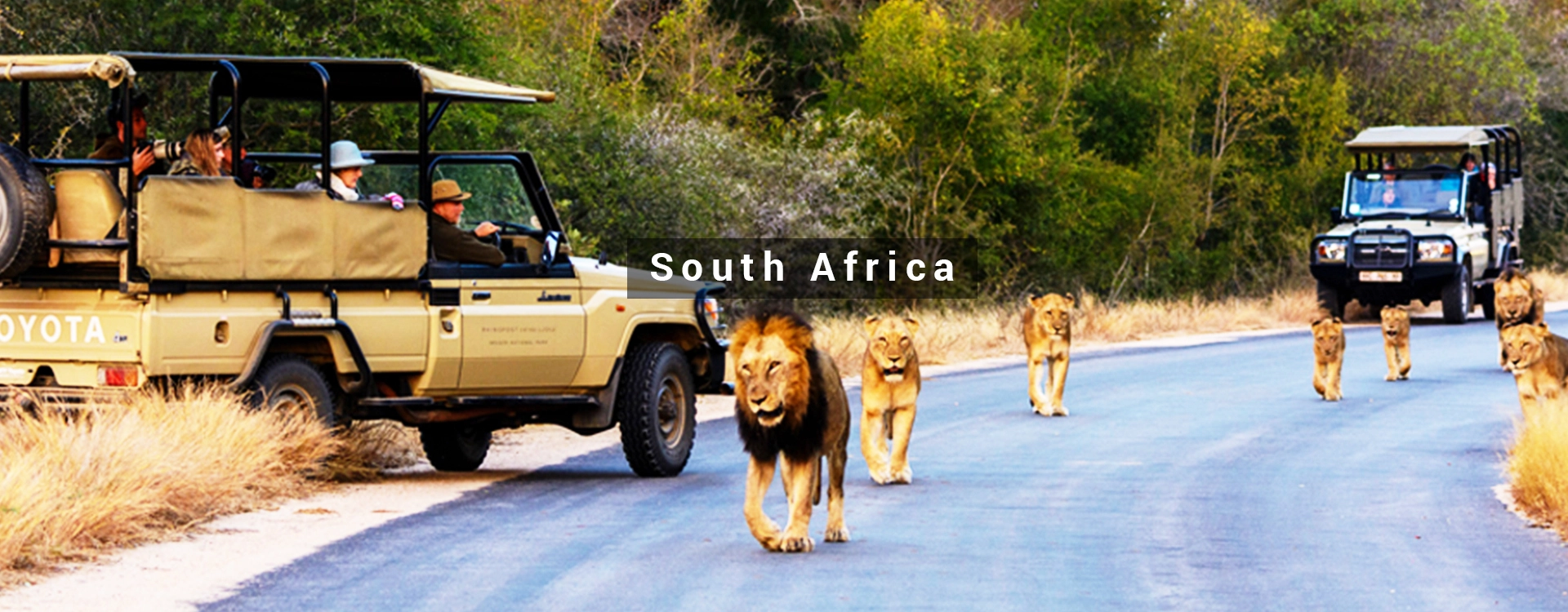South Africa Tour Packages