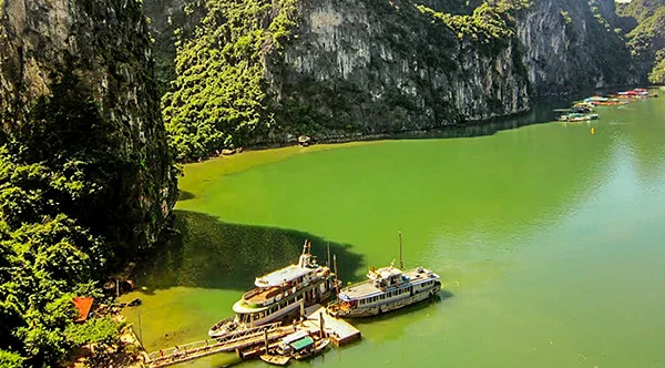 Saigon Nha Trang Tour